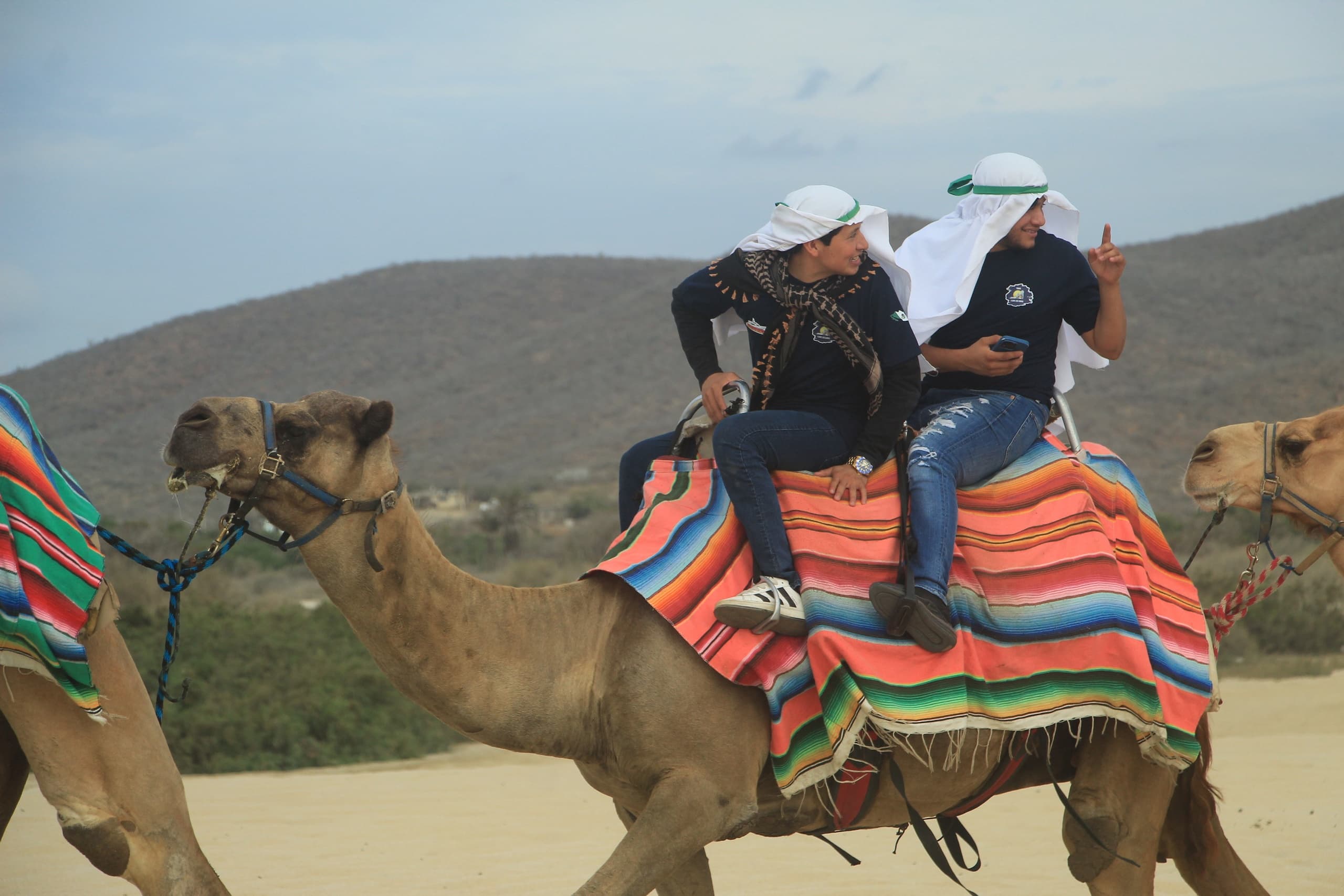Camel Ride in Los Cabos: Beach & Desert Adventure