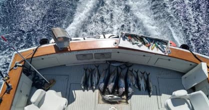 Overhead shot of tuna-lined deck and ocean wake on sportfishing boat