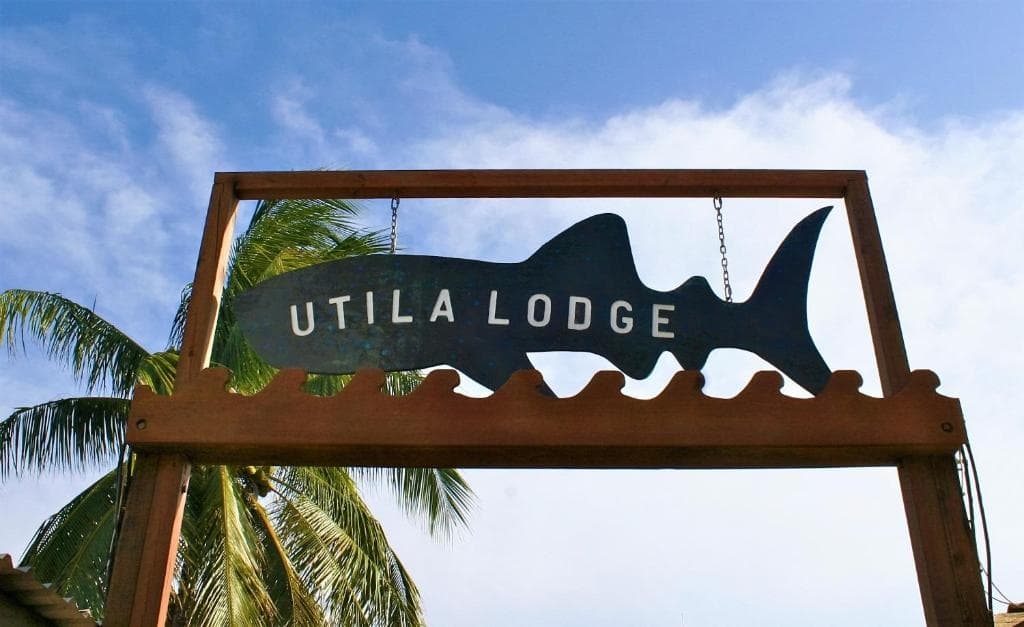 Utila Lionfish Hunting Trip: 7-Night Dive & Conservation Expedition (April 10–17, 2027) photo 1