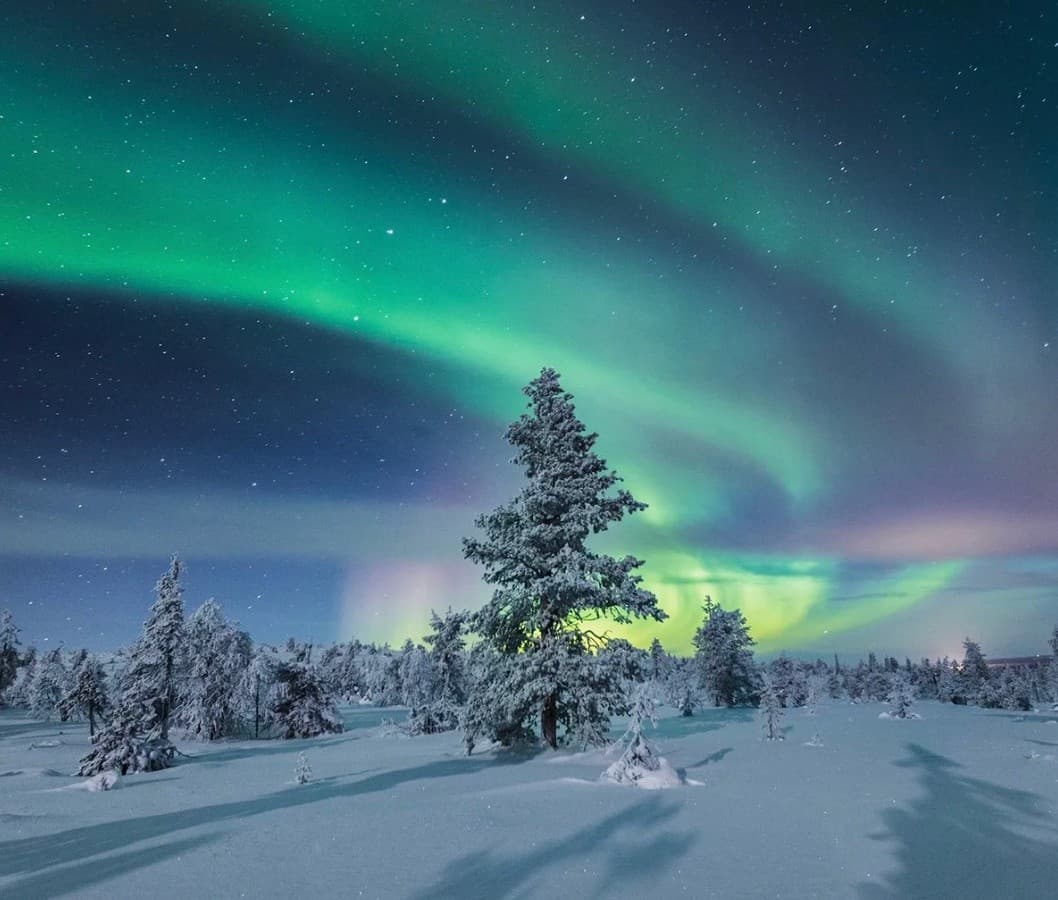 Aurora Borealis Chase by Minibus in Rovaniemi — Northern Lights Tour