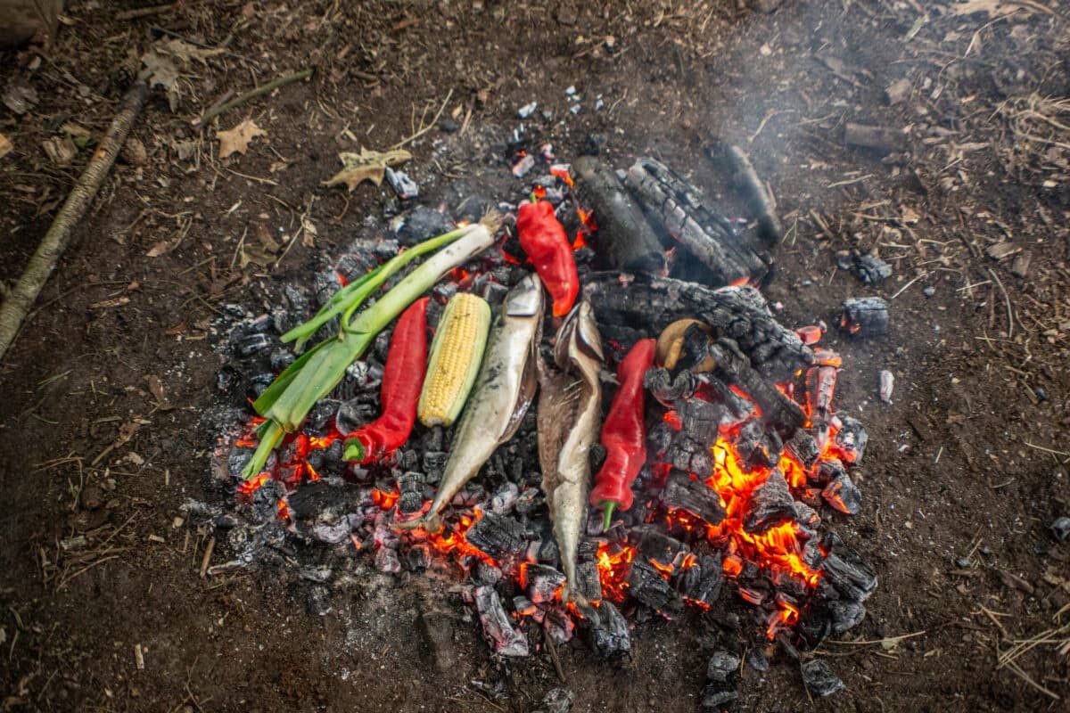 Six-Day Bushcraft Course in Leersum — Learn Fire, Shelter & Outdoor Cooking photo 3