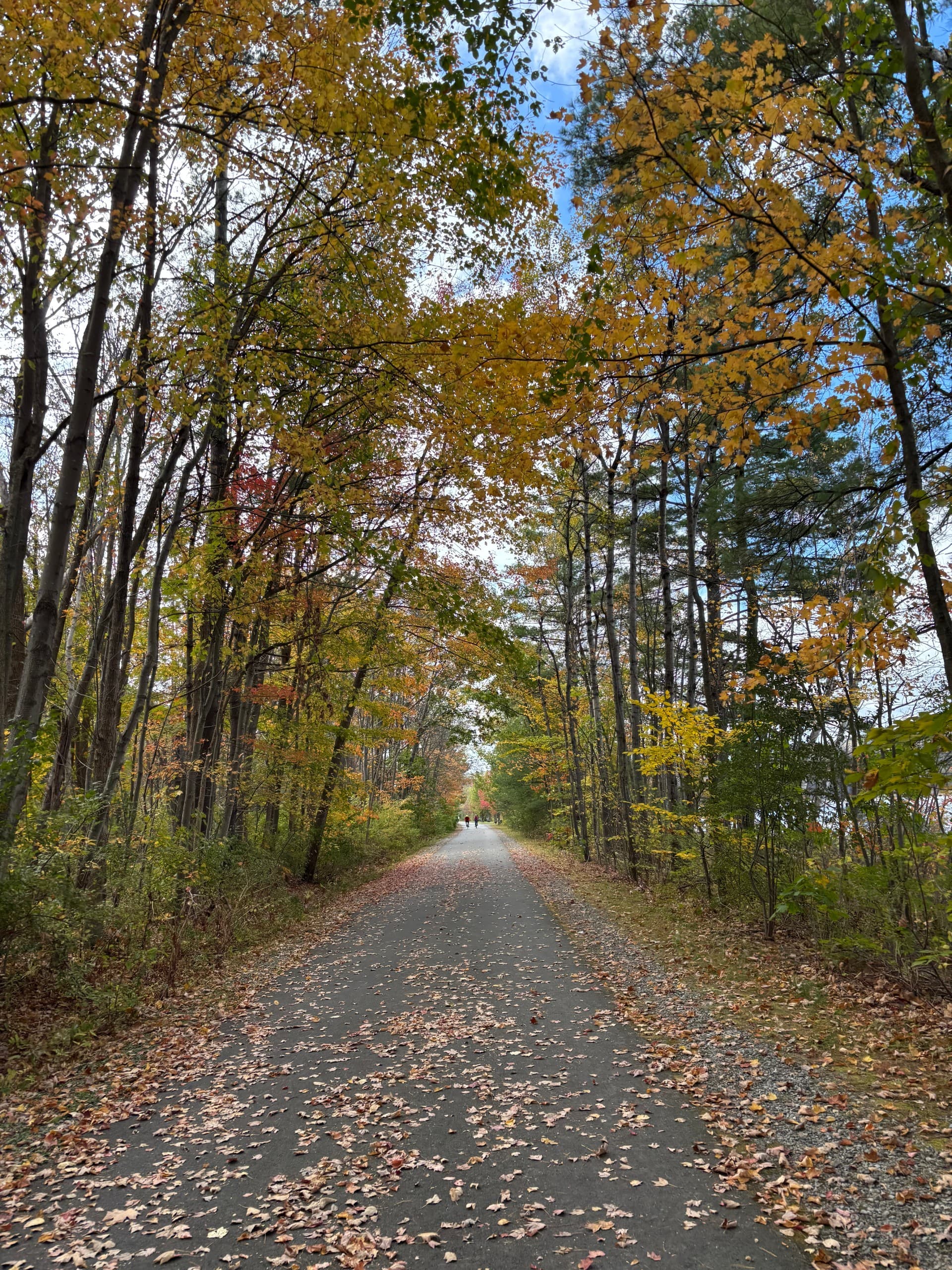 Gentle E-Bike Ride on the Ashuwillticook Rail Trail in Lanesborough, MA photo 2