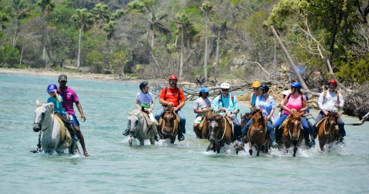 Caribbean Shoreline Horse Ride: Two-Hour Beach & River Trail in Puerto Plata