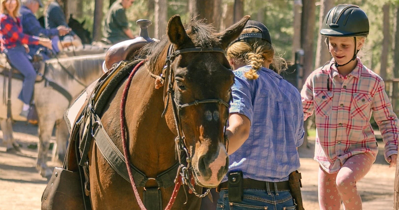 Scenic 1-Hour Trail Ride in Custer, South Dakota