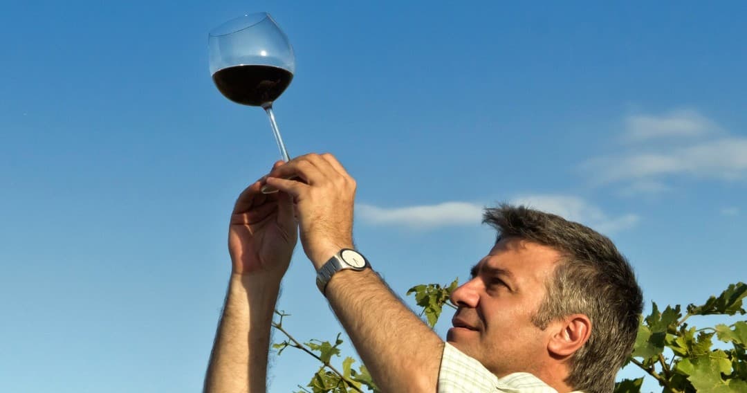 Wine Tasting & Farm Experiences at Estremoz Winery