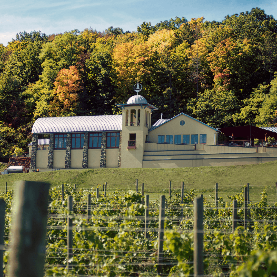 Land Adventures at Heron Hill Winery on Keuka Lake