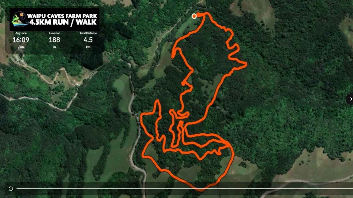 Waipu Fun Trail Run Walk — 4.5/7/10km Family-Friendly Trails in Northland photo 2