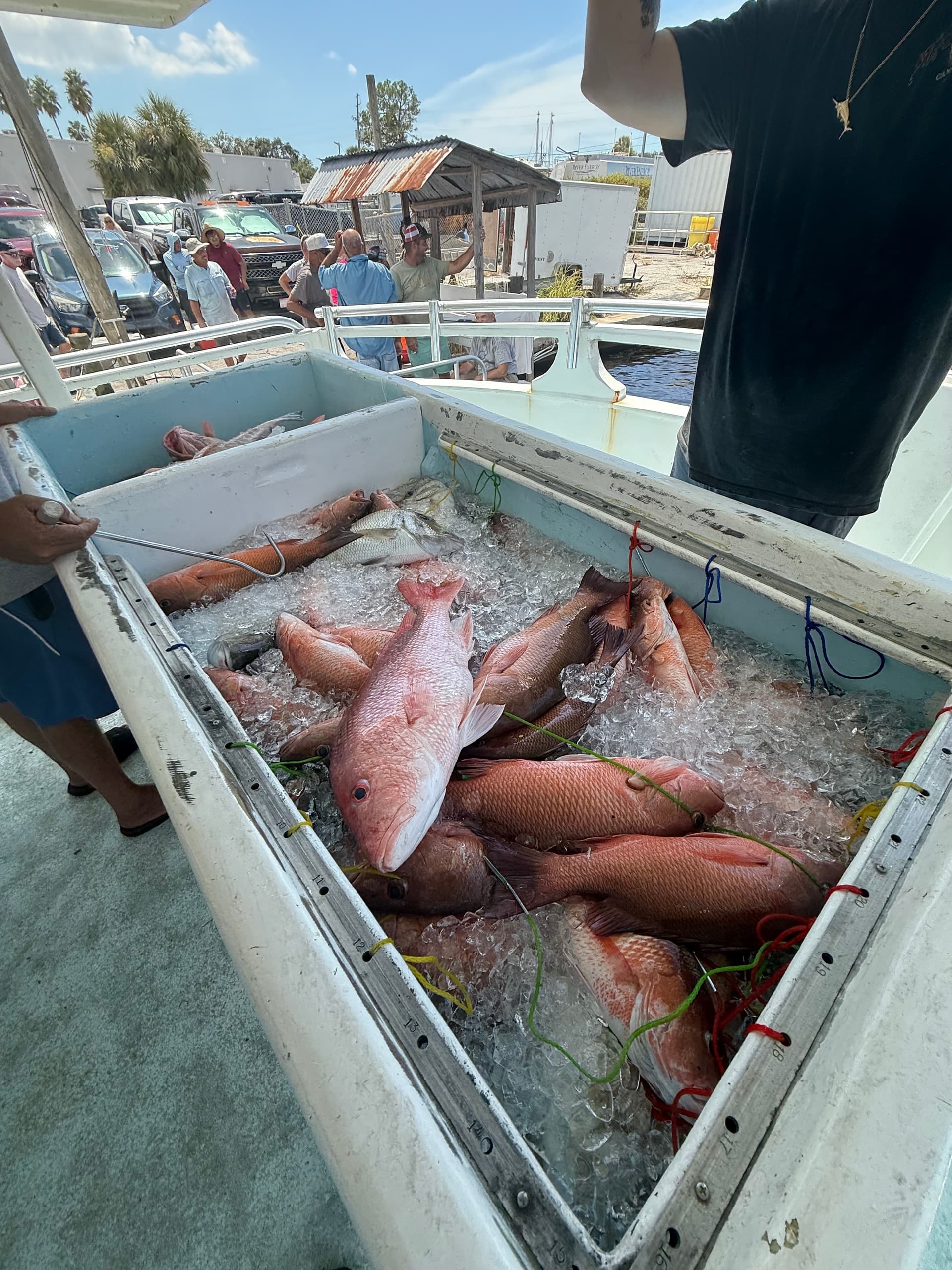 Miss Virginia 32-Hour Overnight Deep Sea Fishing from Tarpon Springs photo 4