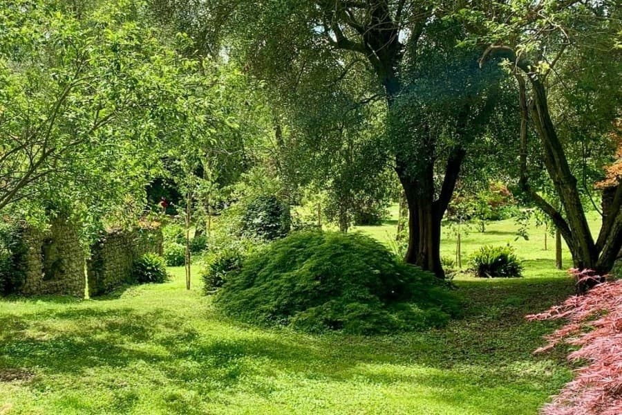 Ninfa & Sermoneta Private Tour by Discovery Guided Tours