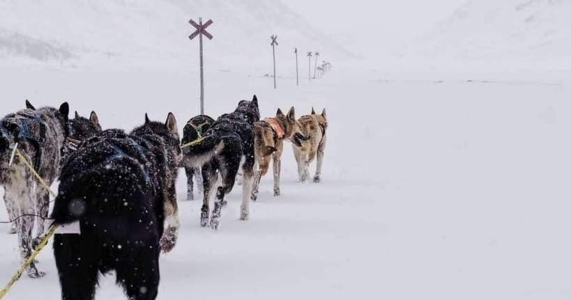 Swedish Mountain Adventure with Wild Spirit AB in Undersaker