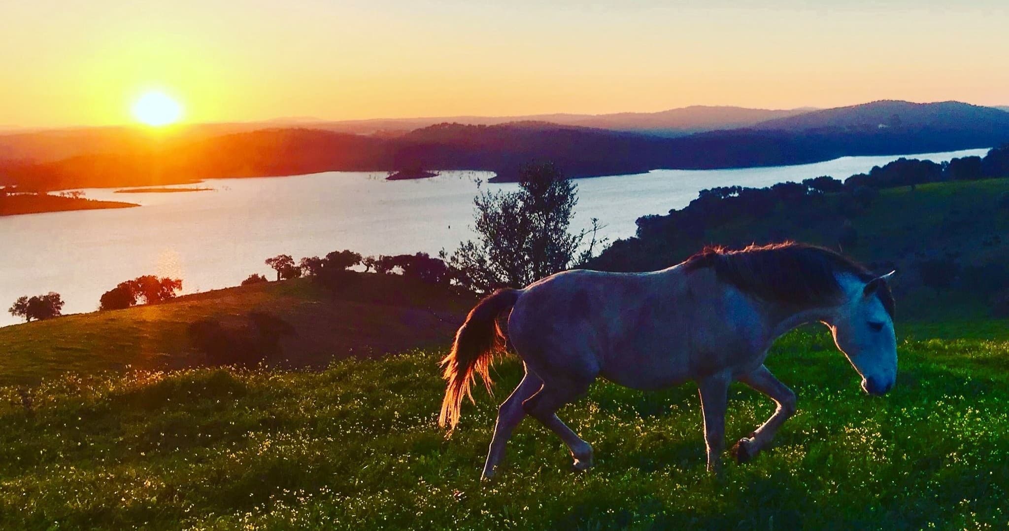 Horseback Riding Farm Tour at Farm Experiences & Tours