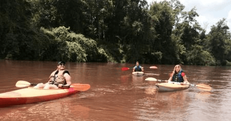 Paddling the Ocmulgee: Guided Popes Class I River Tour in Juliette, Georgia