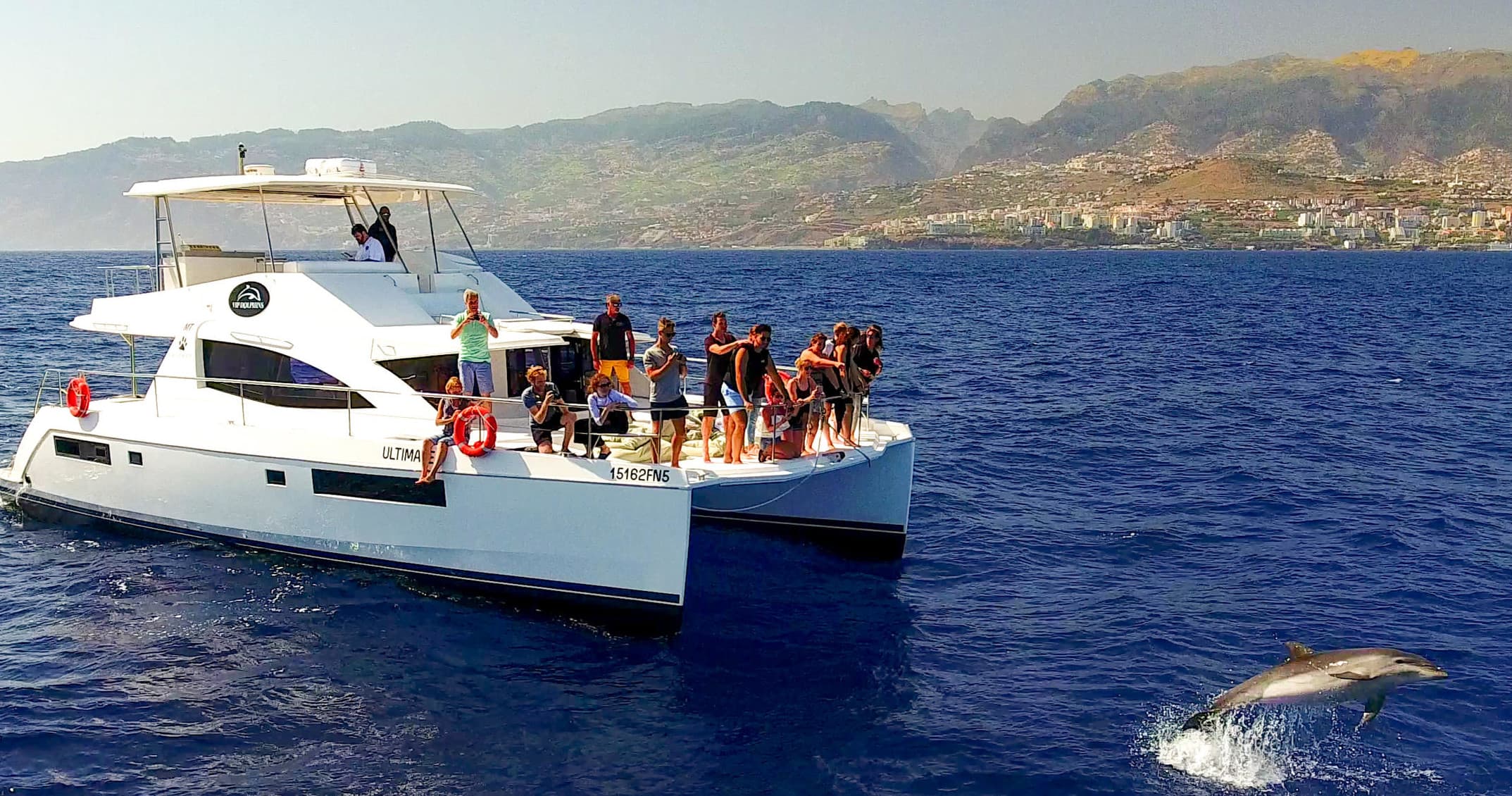 Dolphin and Whale Watching Luxury Catamaran photo 1