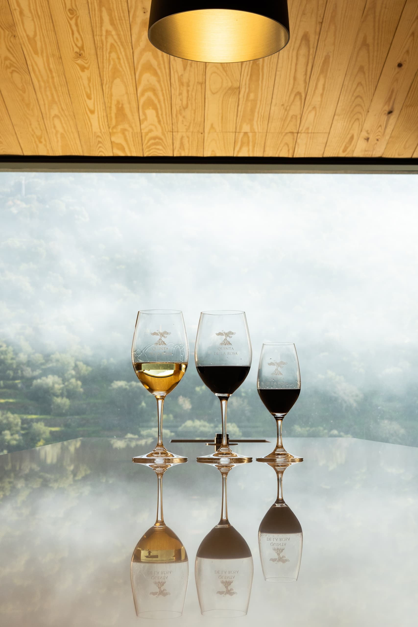 Wine tasting flight with three glasses overlooking misty vineyard