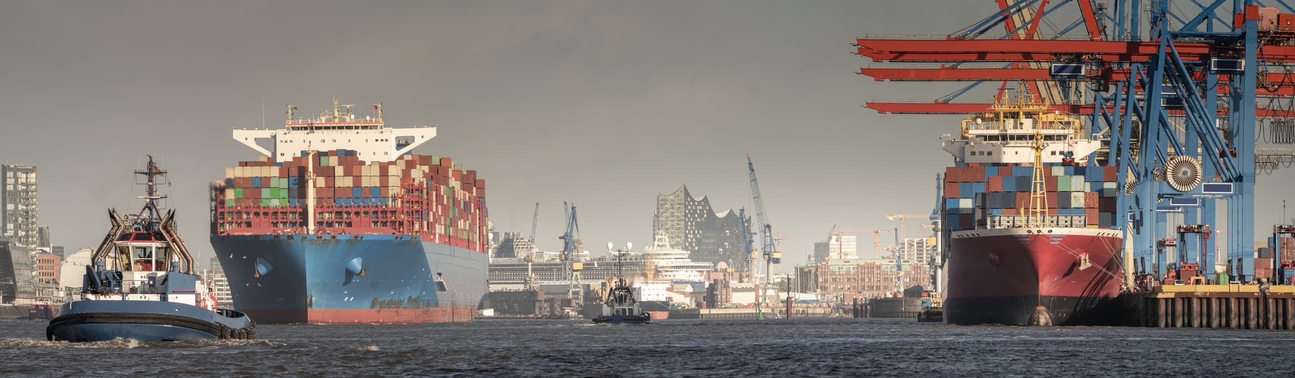 Outdoor Adventures: Hamburg Harbor Bike Tour with Hafentour