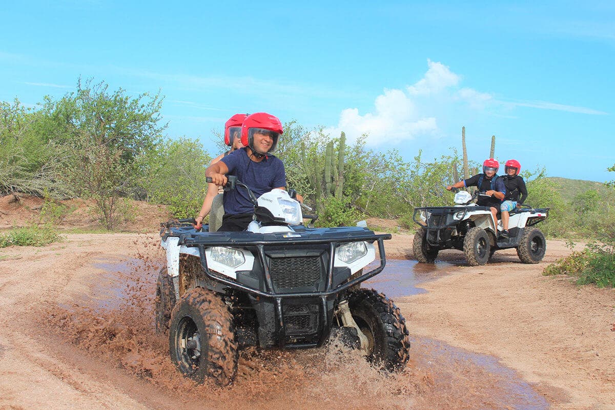 Wild Desert ATV Adventures with Cabo San Lucas Net