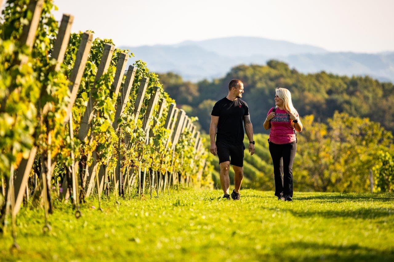 Cultural & Wine Tours in Ptuj with Mestni Vrh