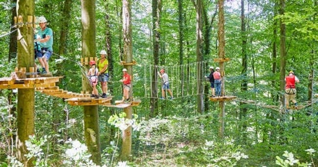 Treetop Adventures at Abenteuer im Wald in Kenzingen