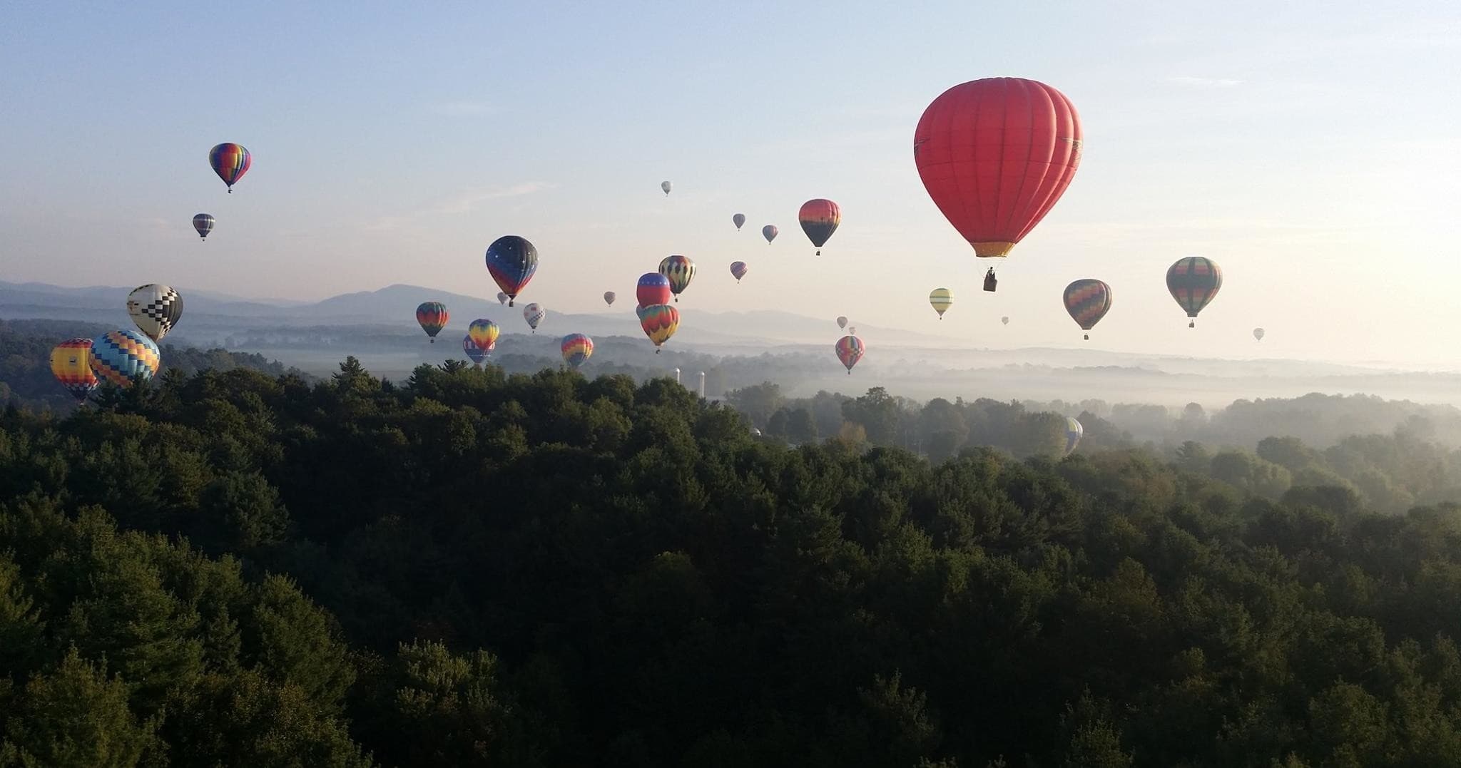Hot air balloons lifting off over forested valley at sunrise