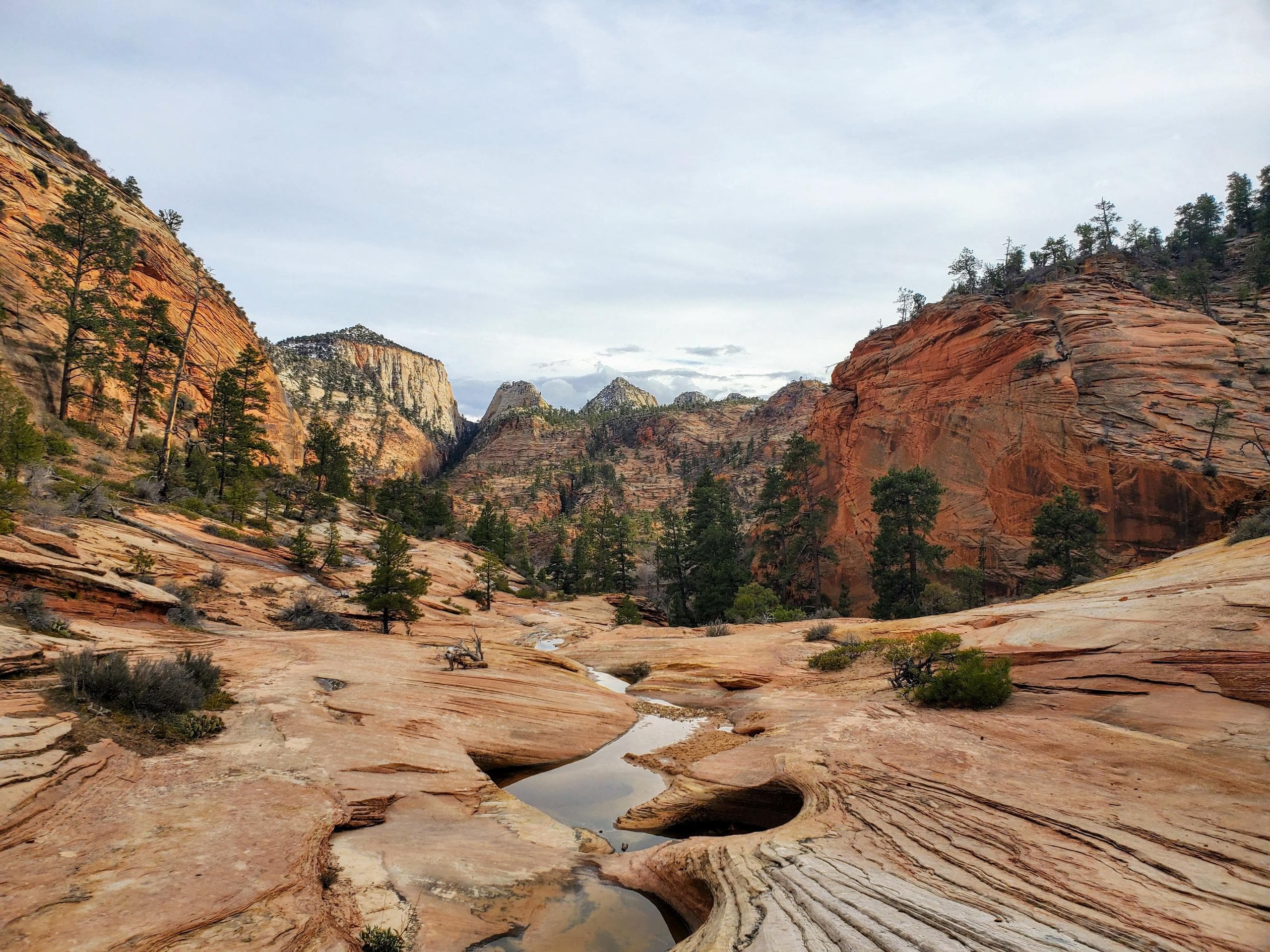 Scenic Jeep Ride Into Zion: East Zion Adventures in Utah