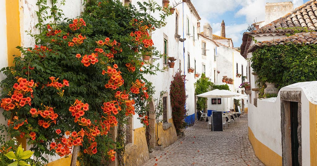 Historic Day Tour & Coastal Adventure near Lisbon