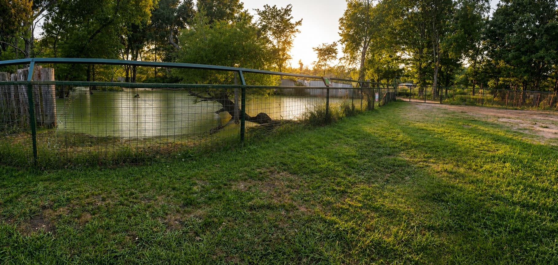 Safari After Hours: Evening Wildlife Walk at Canton Grand Safari