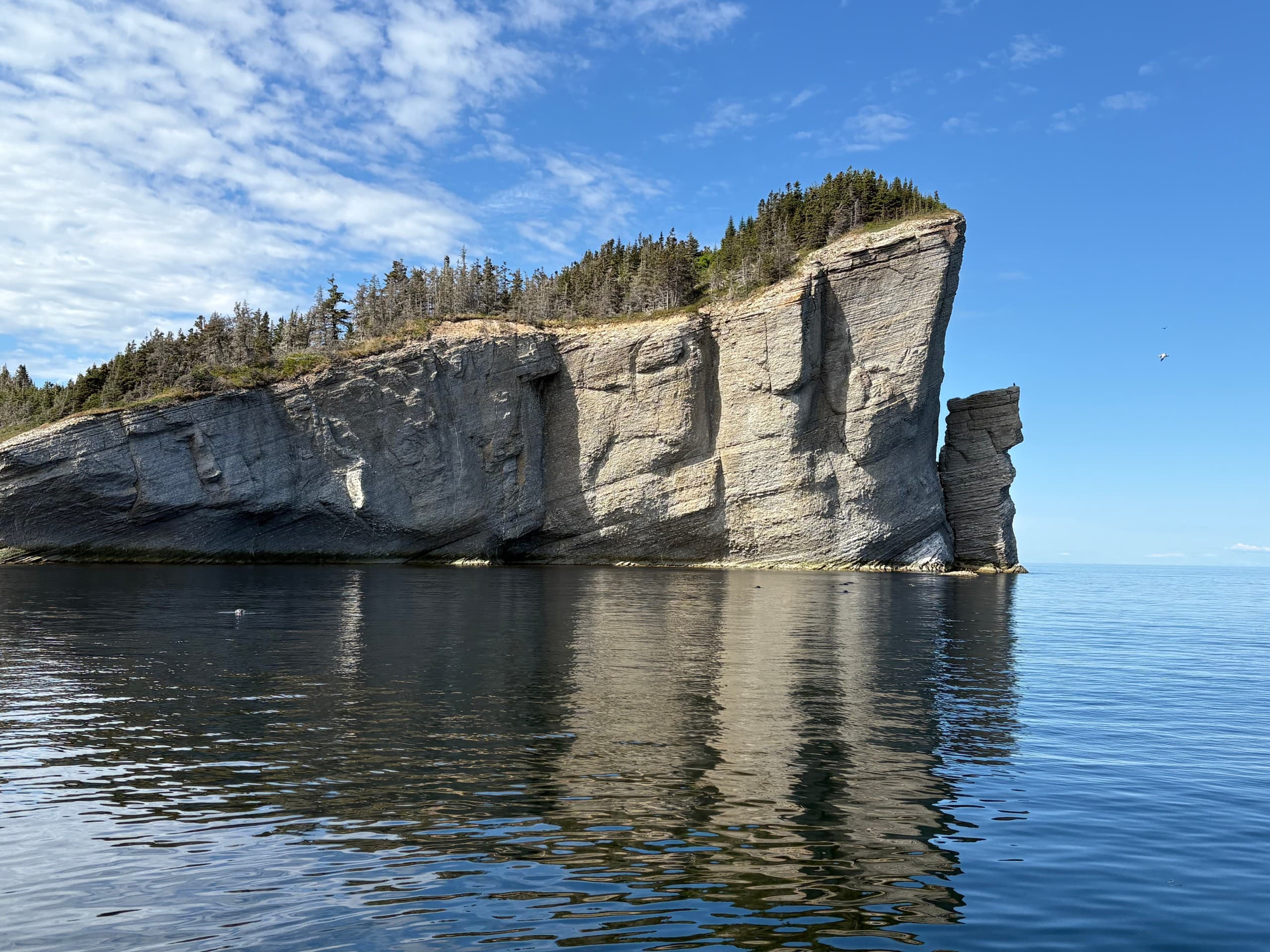 Tall limestone cliff reflected in calm water, Gaspé coastal view
