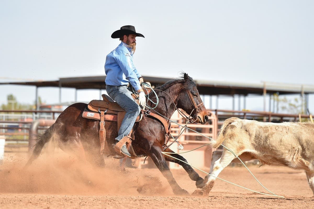 Champions' Team Roping Clinic in Heber: Buhler & Richard Teach Headers and Heelers photo 3