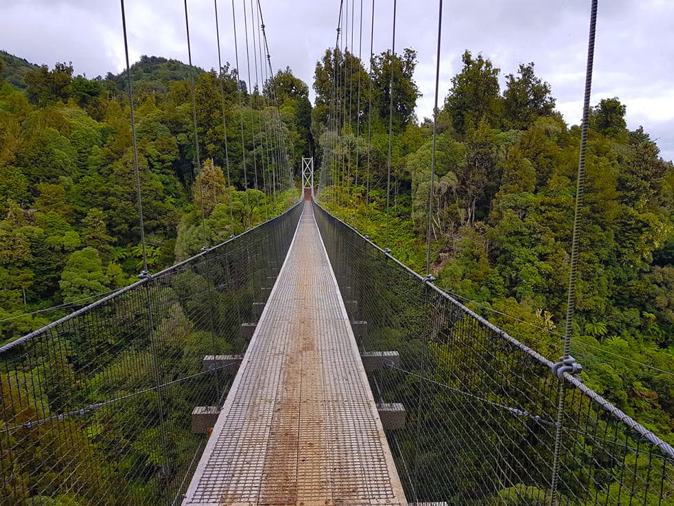 Ongarue to Pureora Shuttle by Timber Trail Lodge