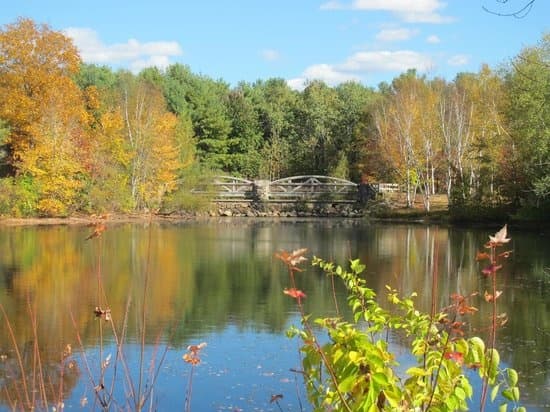 Lincoln Woods Kayak fleet