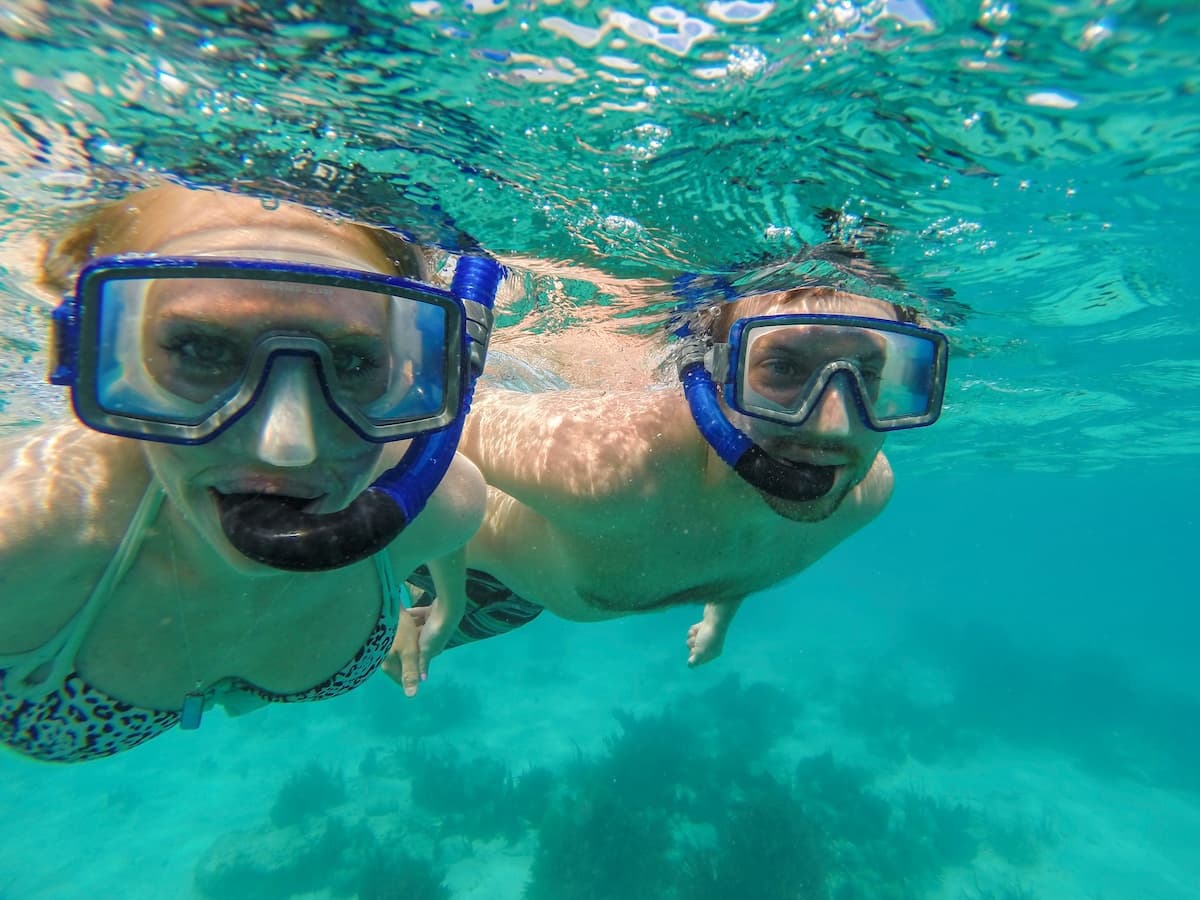 Frenchman Afternoon Turtle Snorkel in St. Thomas, USVI