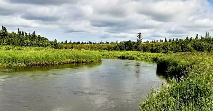 Calm grassy river meadow with scenic banks for fly fishing