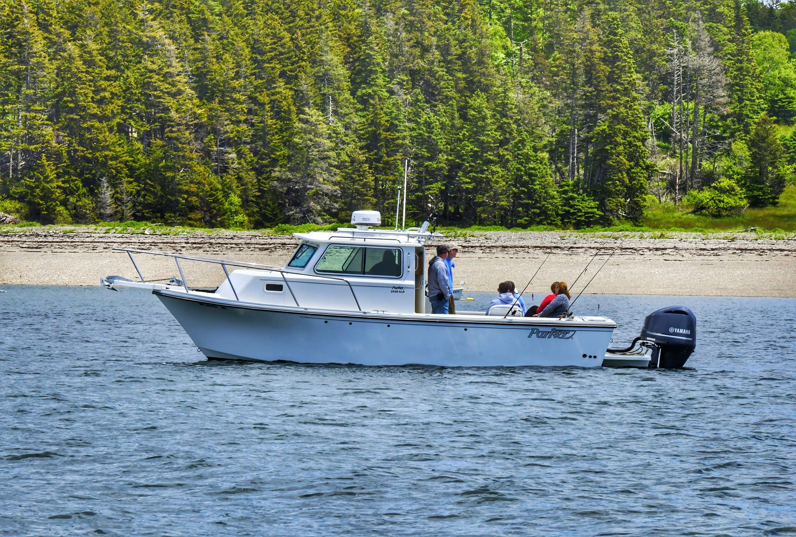 Water Activities & Island Cruises: Fishing in Acadia National Park