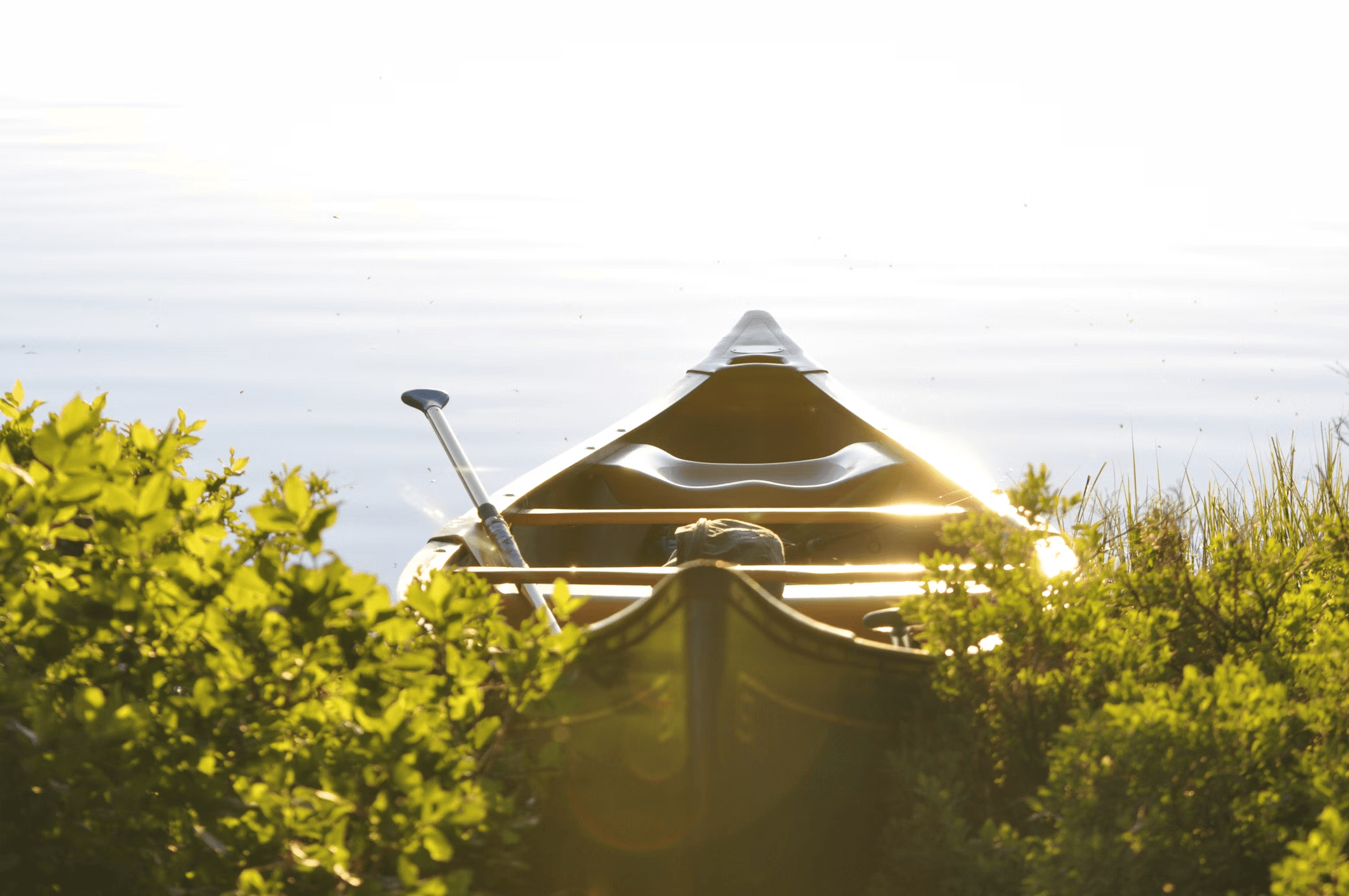 Water Activities at J&T's Wild-Life Outdoors in Arizona