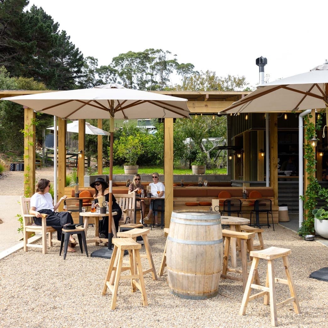 Wine Tasting & Scenic Waiheke Island Adventure with Kiwi Connect