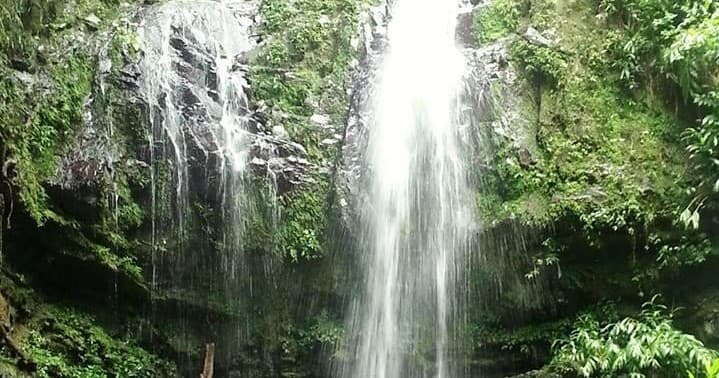 Lush rainforest waterfall cascading down mossy rocks, tropical hike