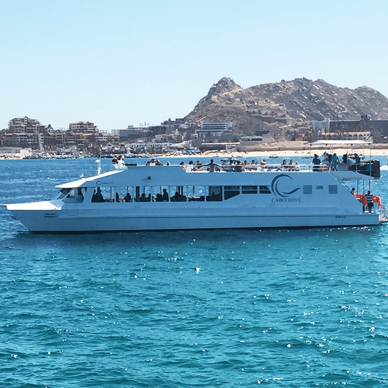 Cabo Wave Sunset Sessions: Sunset Cruise in Cabo San Lucas