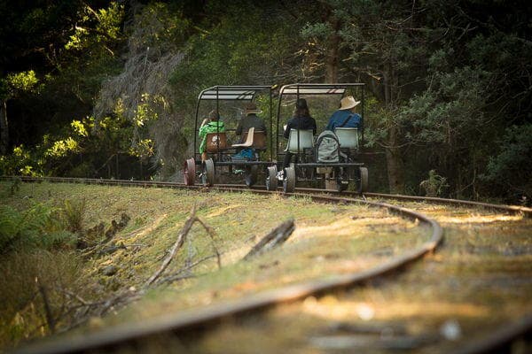Railroad Adventure at Maydena with Railtrack Riders