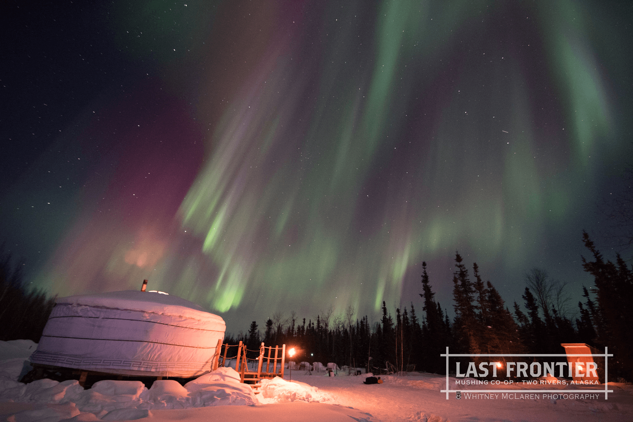 Experience the Northern Lights in Fairbanks: Cozy Aurora Viewing in a Mongolian Yurt