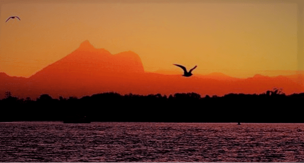 Sunset Cruise on Tweed River with Live Music & Local Brews