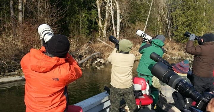 Jet Sled Photography with Skagit River Eagle Tours in Deming