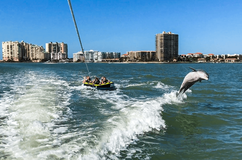 Dolphin Tour & Tubing Adventure with Eco Endeavors in Marco Island