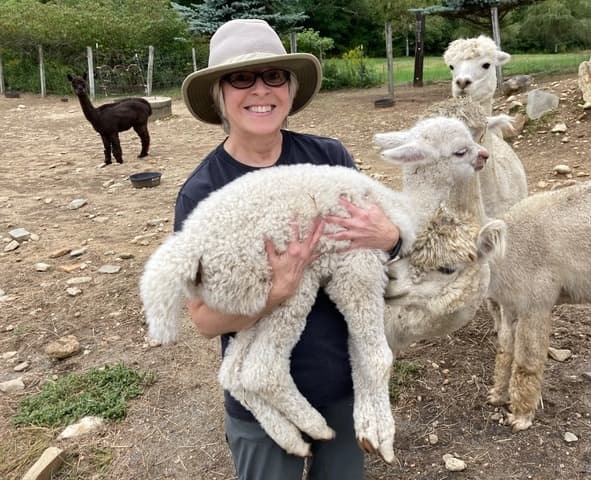 Gold-Level Alpaca Meet & Greet in Princeton, MA — Up-Close Experience
