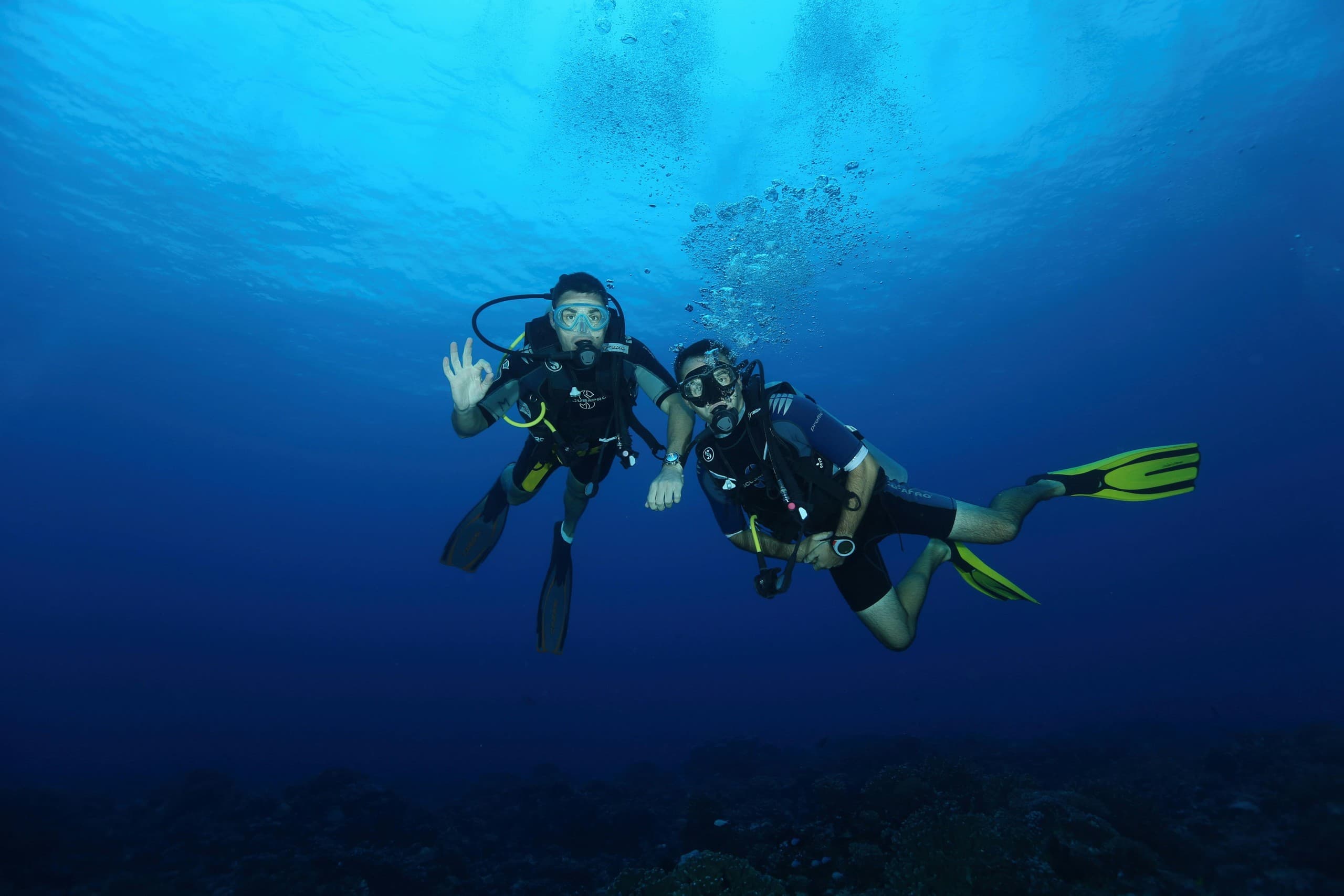 In-Shore Dive: 4-Hour Nearshore Scuba & Lionfish Hunting with Viking Diving photo 1