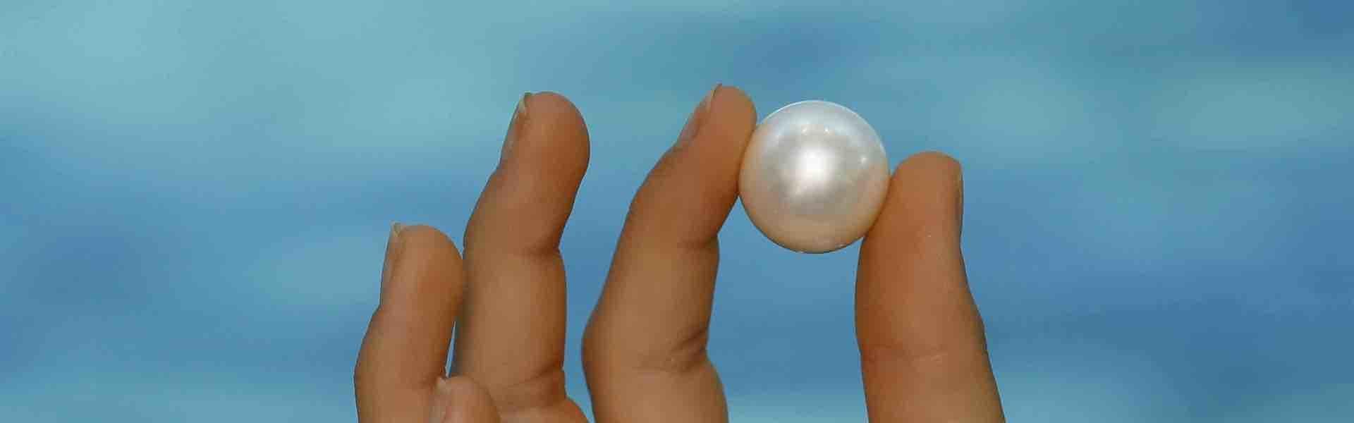 Inside the Pearl Grading Room: Pearl Grading Masterclass at Shellar Door