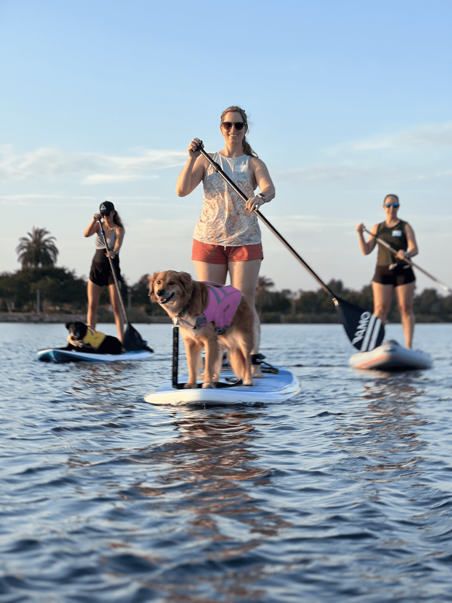 Private Paddle Board Lessons with Your Pup in San Diego