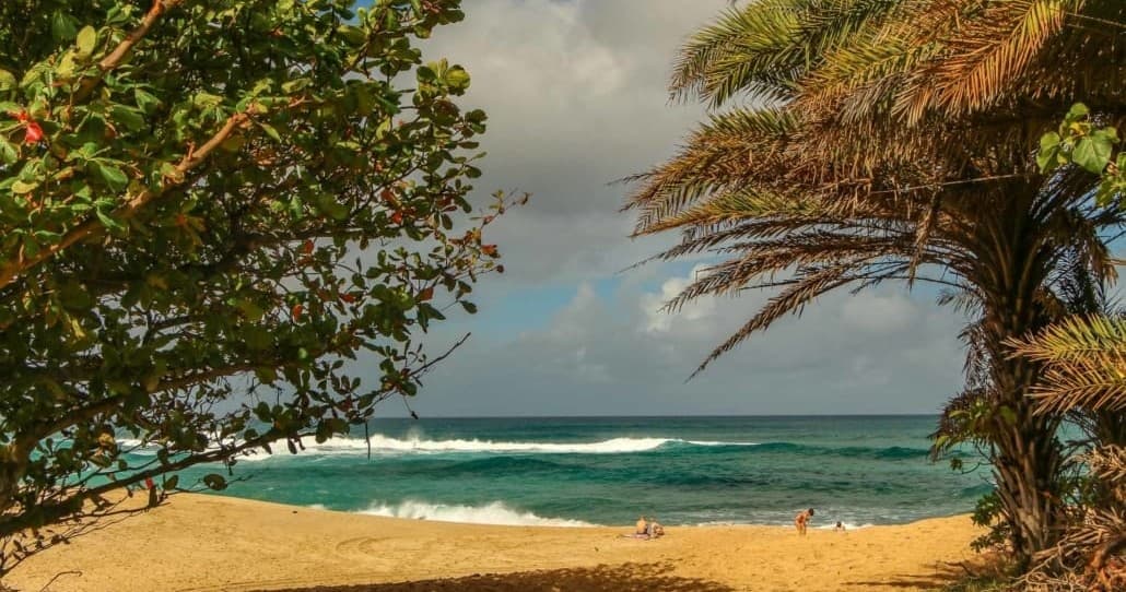 Land Adventures: Pearl Harbor & Oʻahu Circle Tour by The Adventure Collective