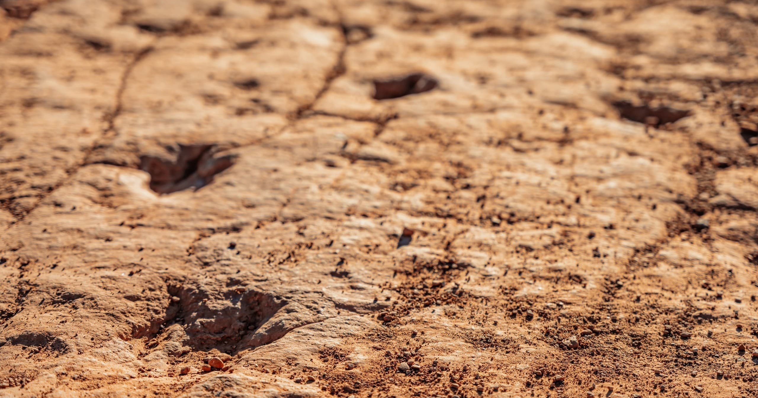 Dinosaur Tracks in the Desert UTV Tour | ATV/UTV in Hurricane, Utah