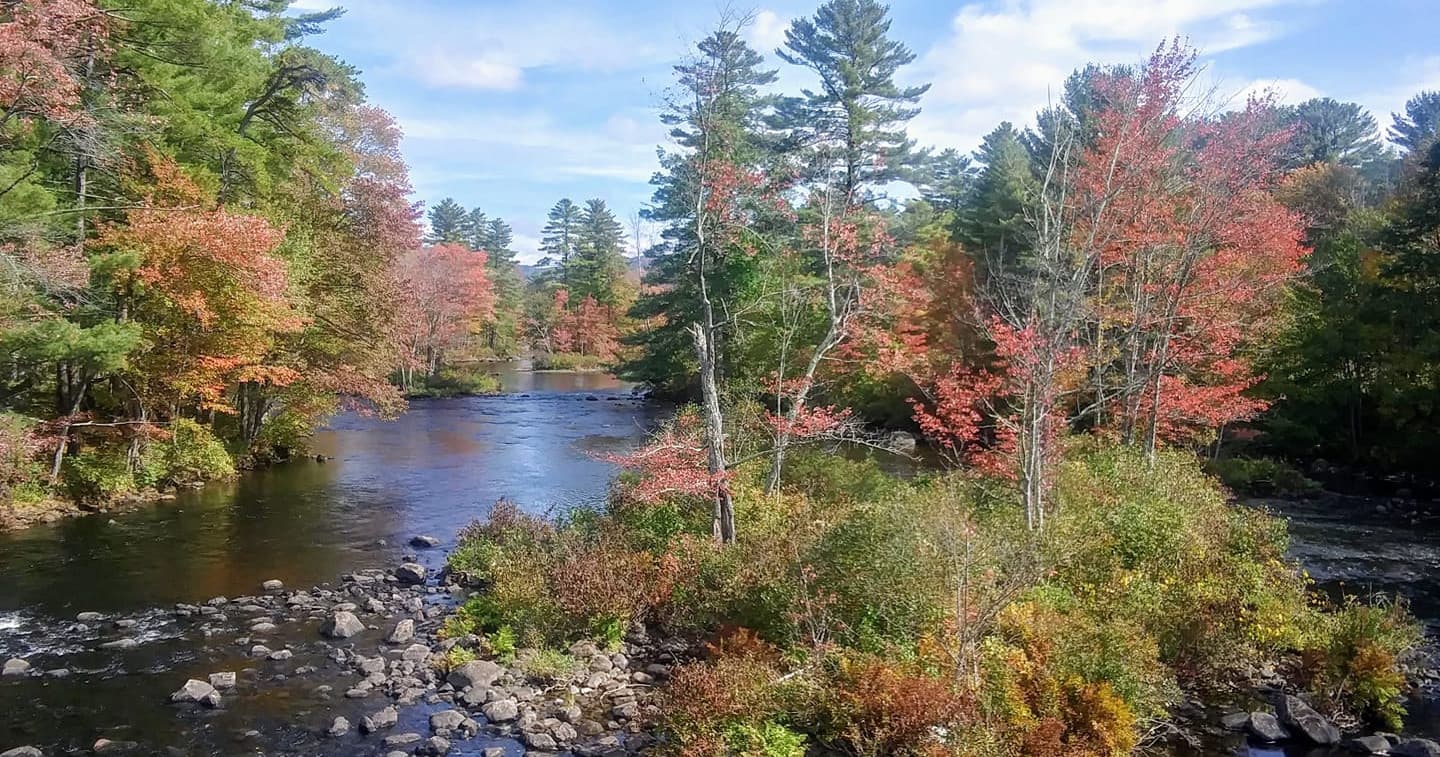 Autumn river with colorful trees, scenic forest landscape