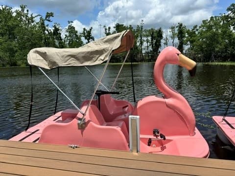Electric Pink Flamingo Boat Rental on Lake Latigo — West Monroe, LA